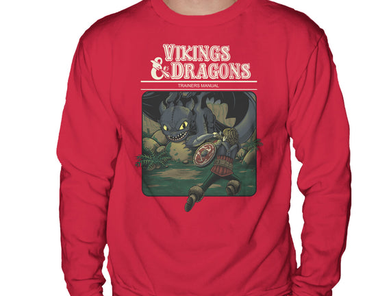 Vikings And Dragons