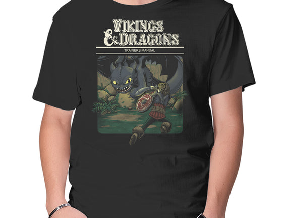 Vikings And Dragons