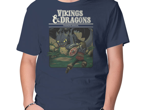 Vikings And Dragons