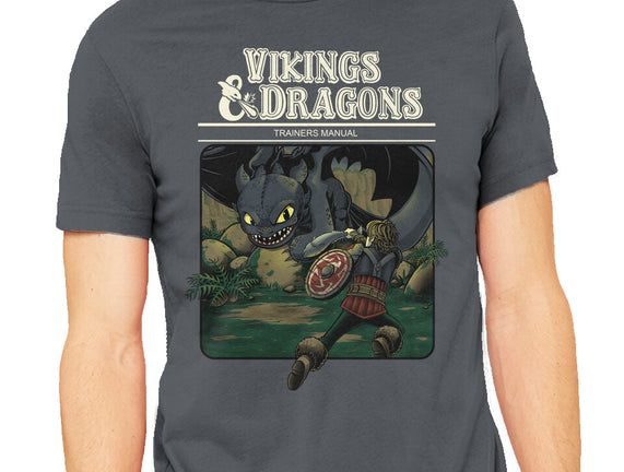 Vikings And Dragons