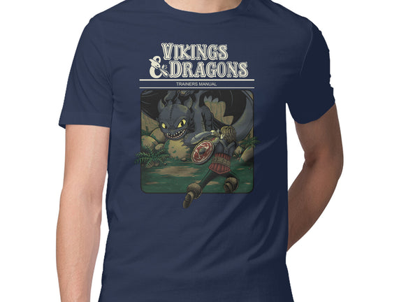 Vikings And Dragons