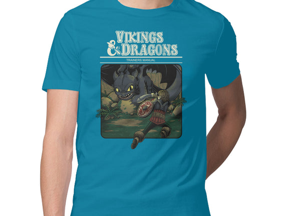 Vikings And Dragons