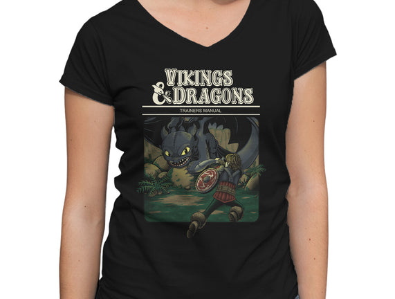 Vikings And Dragons