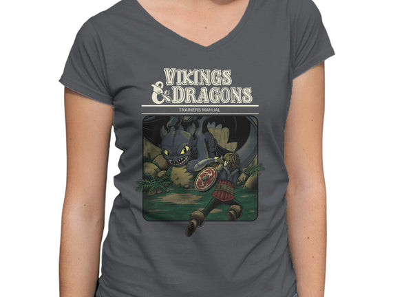 Vikings And Dragons