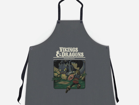 Vikings And Dragons