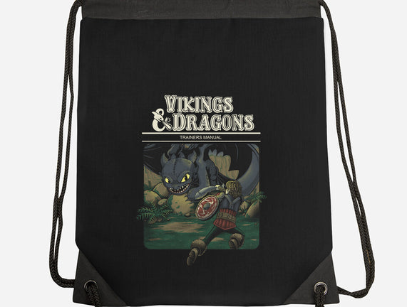 Vikings And Dragons