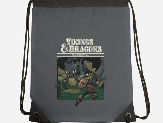 Vikings And Dragons