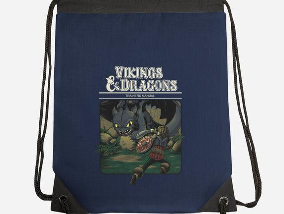 Vikings And Dragons