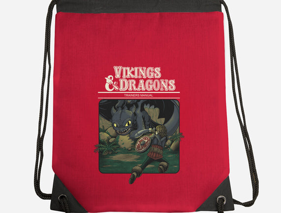 Vikings And Dragons