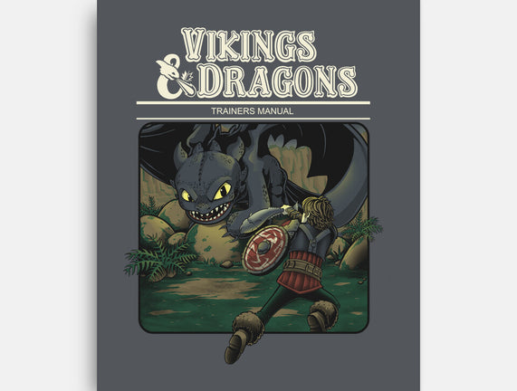 Vikings And Dragons