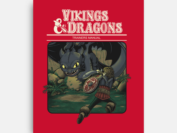 Vikings And Dragons