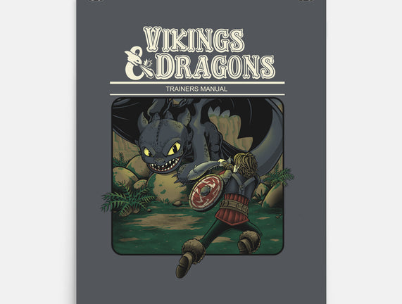 Vikings And Dragons