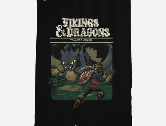 Vikings And Dragons