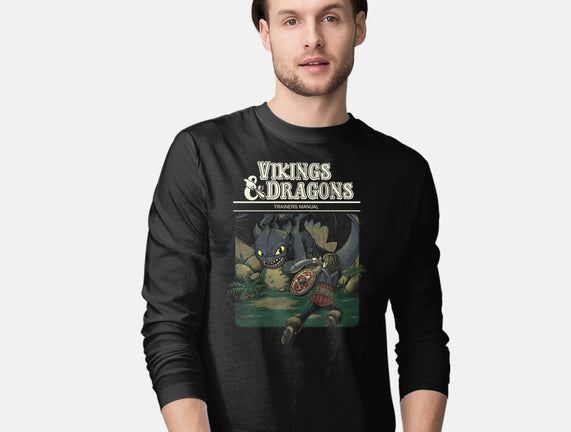 Vikings And Dragons