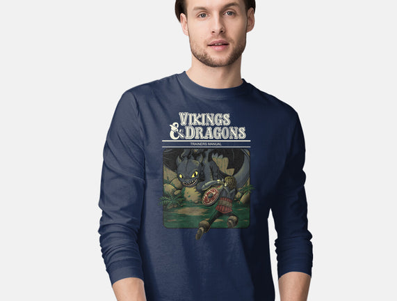 Vikings And Dragons