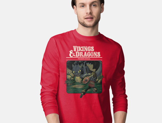 Vikings And Dragons