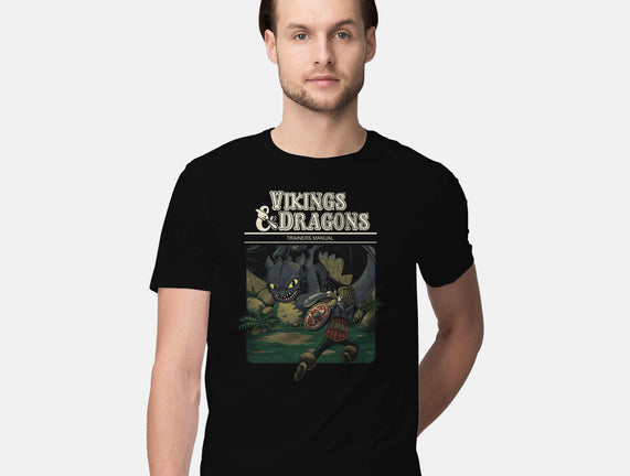 Vikings And Dragons