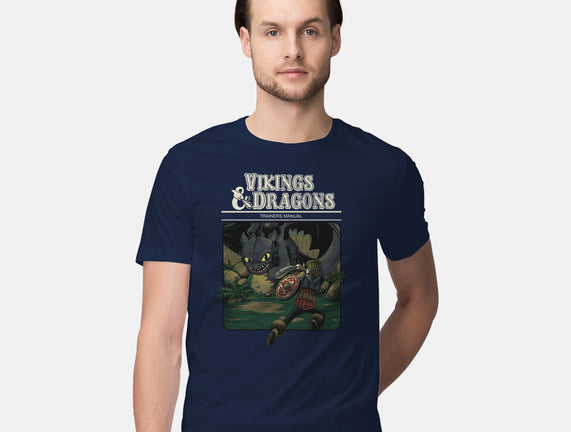 Vikings And Dragons