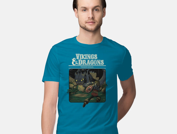 Vikings And Dragons