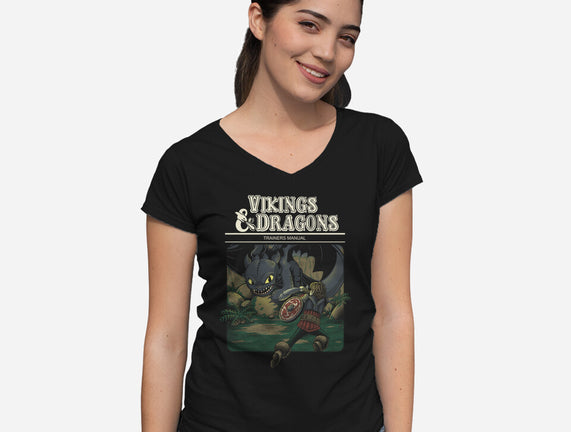 Vikings And Dragons