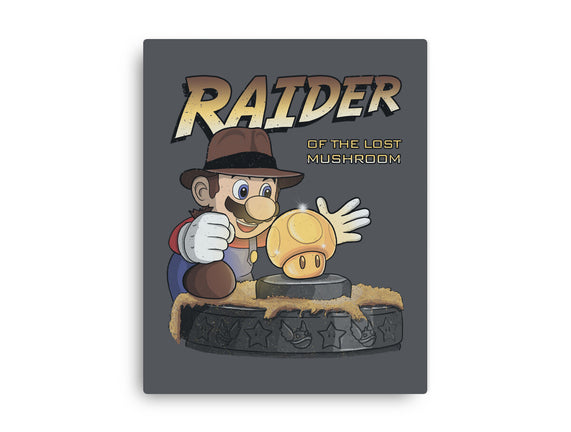 Raider Of The Lost Mushroom