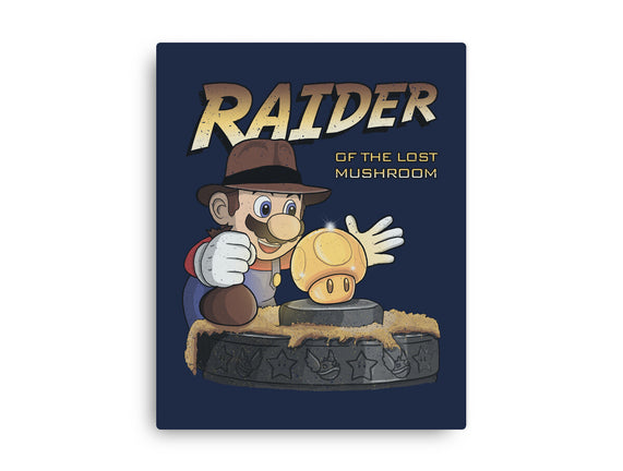 Raider Of The Lost Mushroom