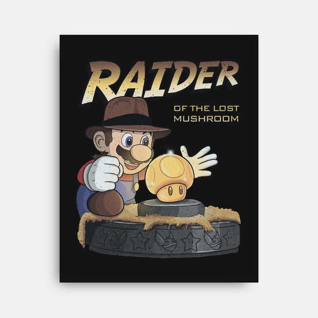 Raider Of The Lost Mushroom-None-Stretched-Canvas-NMdesign