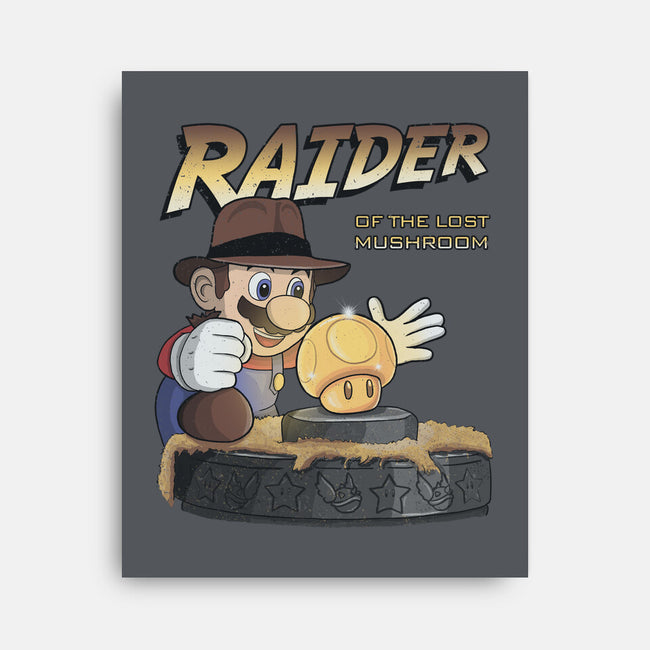 Raider Of The Lost Mushroom-None-Stretched-Canvas-NMdesign