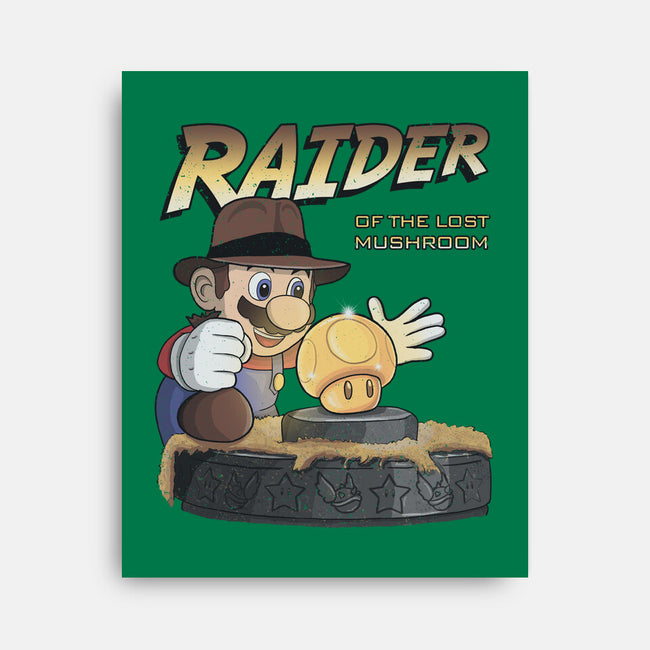 Raider Of The Lost Mushroom-None-Stretched-Canvas-NMdesign