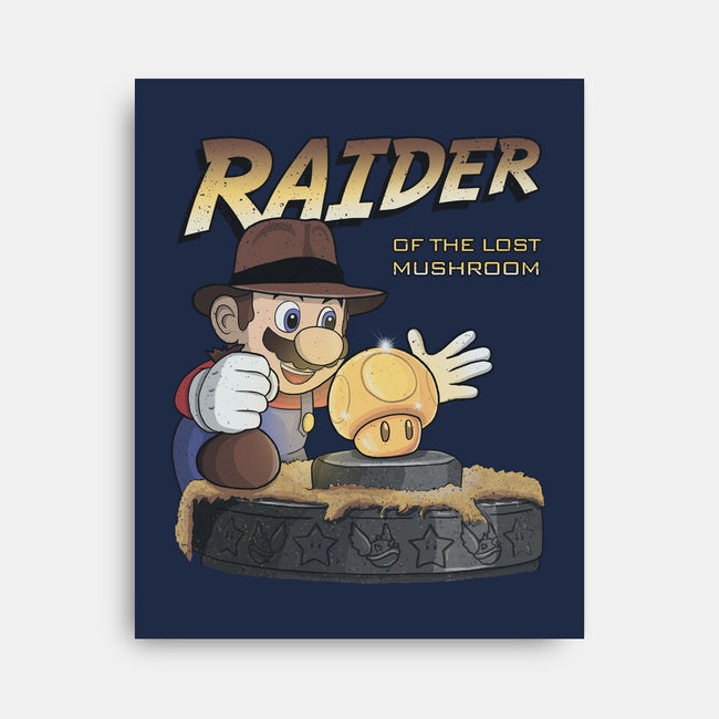 Raider Of The Lost Mushroom-None-Stretched-Canvas-NMdesign