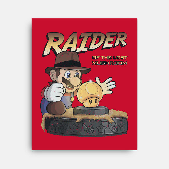 Raider Of The Lost Mushroom-None-Stretched-Canvas-NMdesign