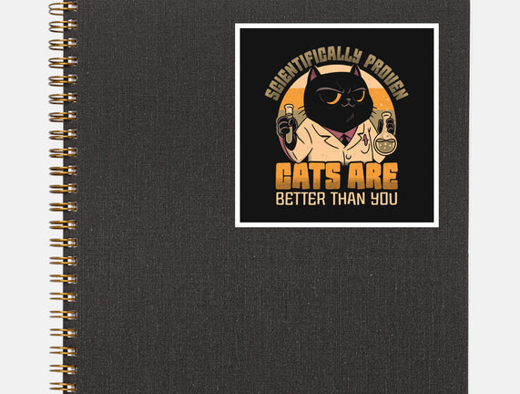 Cats Are Better