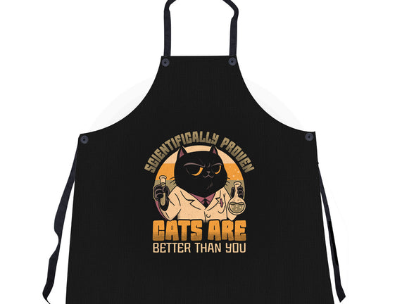 Cats Are Better
