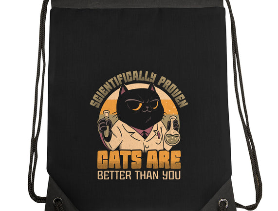 Cats Are Better