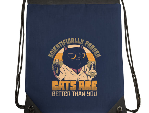 Cats Are Better
