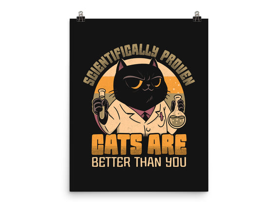 Cats Are Better