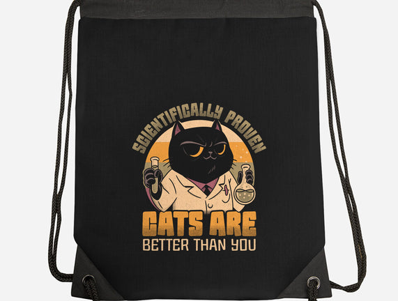 Cats Are Better