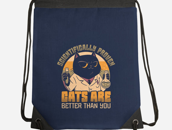Cats Are Better