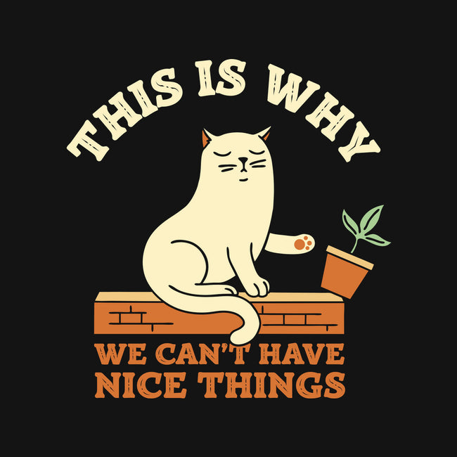 This Is Why We Can't Have Nice Things-Mens-Basic-Tee-brunopires