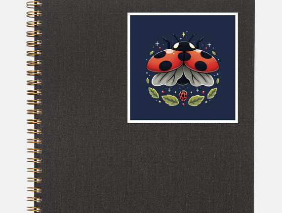 Ladybug Magic