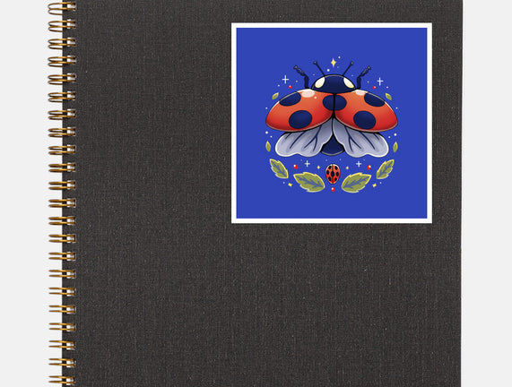 Ladybug Magic