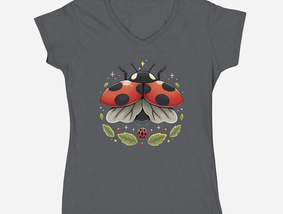 Ladybug Magic