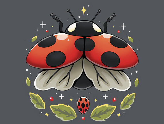 Ladybug Magic
