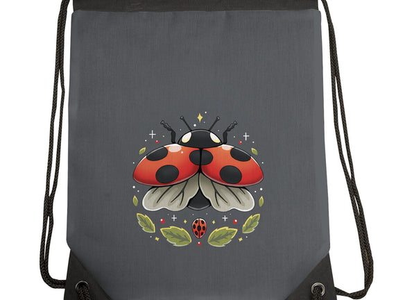 Ladybug Magic