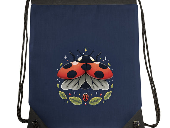 Ladybug Magic