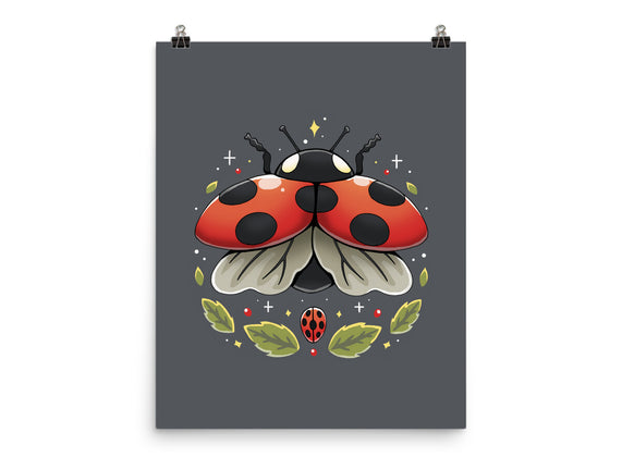 Ladybug Magic