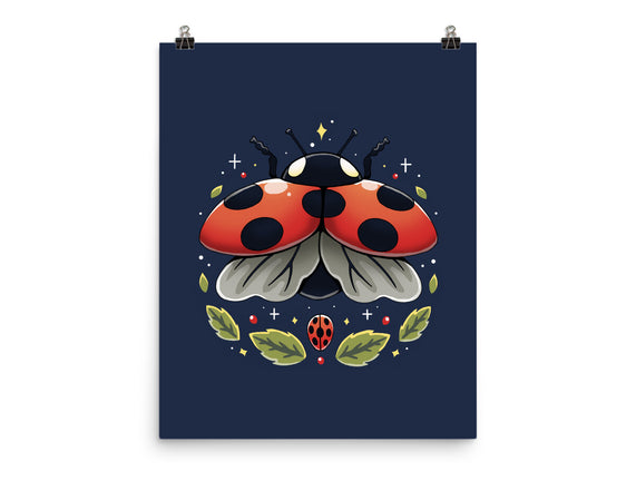 Ladybug Magic