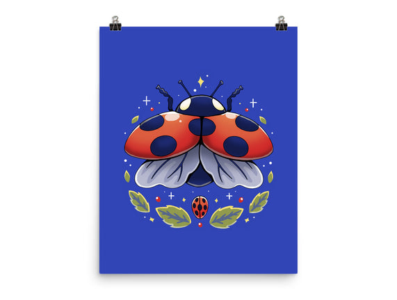 Ladybug Magic