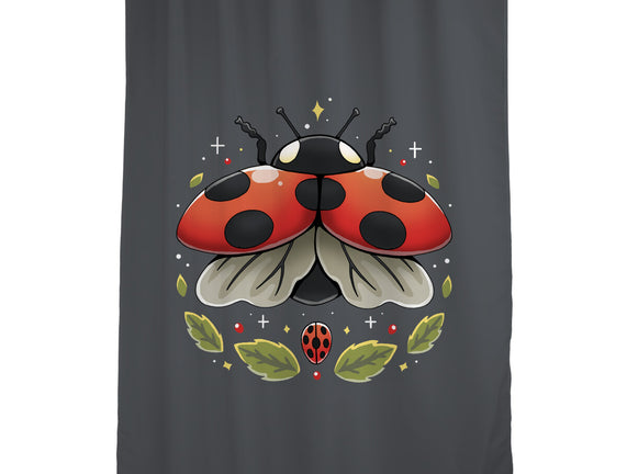 Ladybug Magic