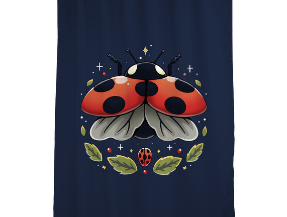 Ladybug Magic